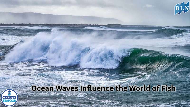 The Rhythmic Pulse of Life: How Ocean Waves Influence the World of Fish